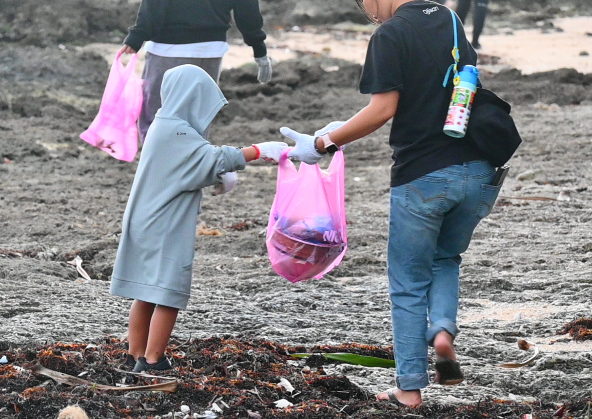 石垣島で「Green &Bluechallenge2026」を実施しました。case02画像 